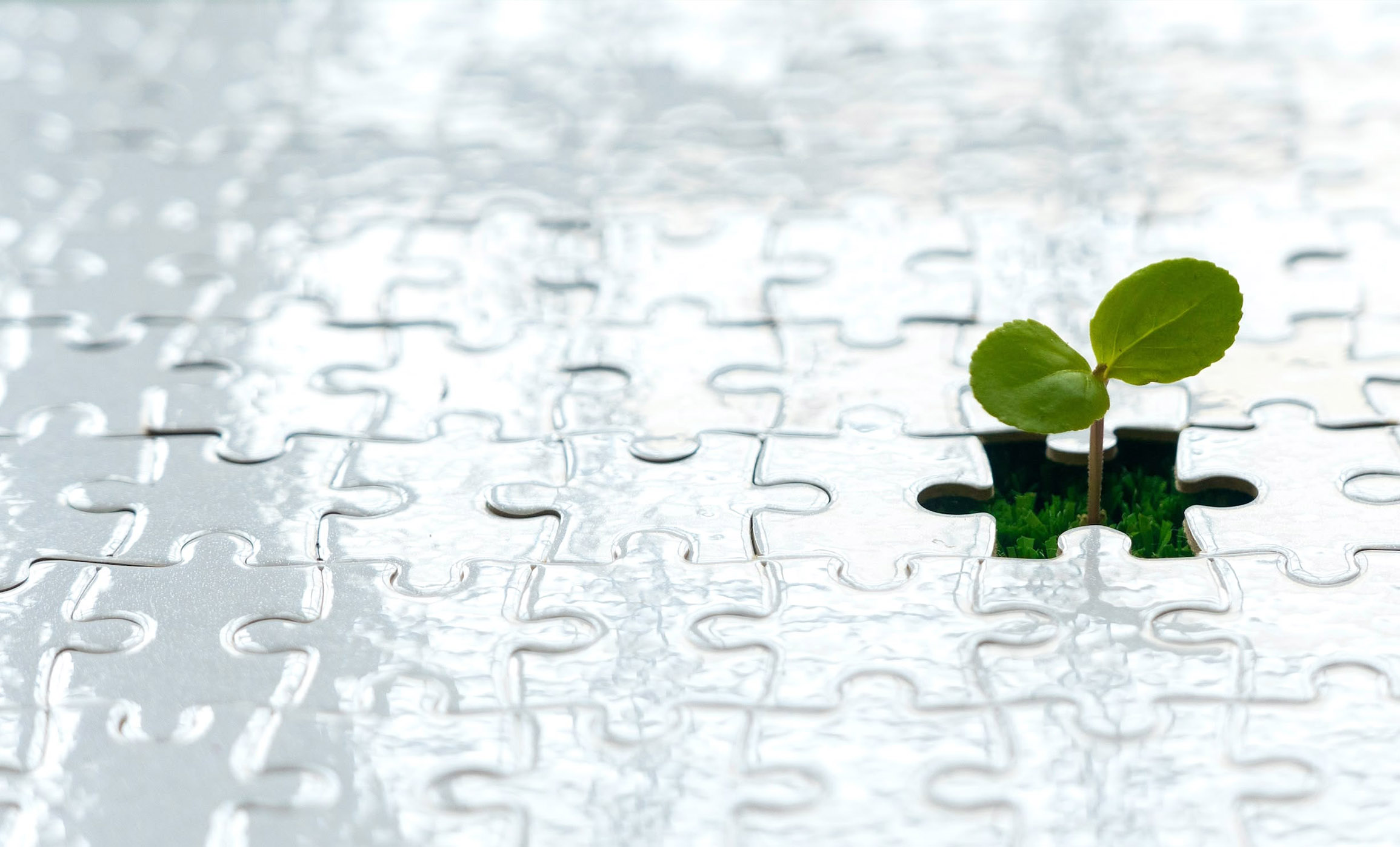 Life After Cancer: Picking Up the Pieces